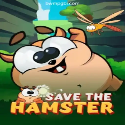 Exploring SavetheHamster: The Top Game on the BWM-PG Platform